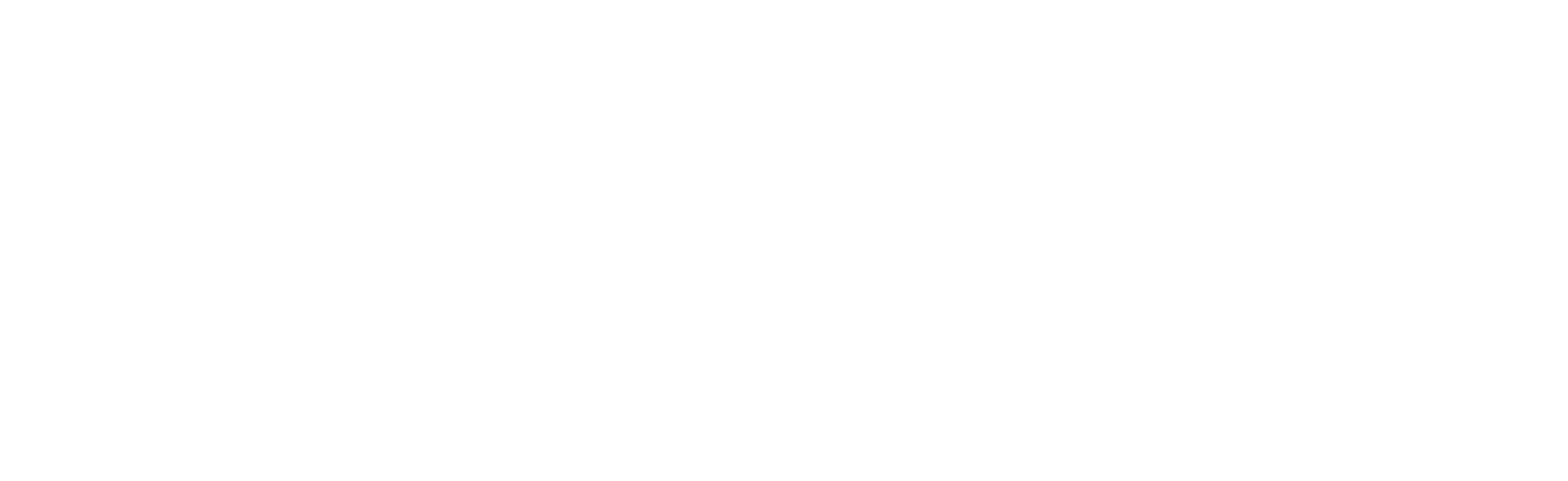 MIKE logo